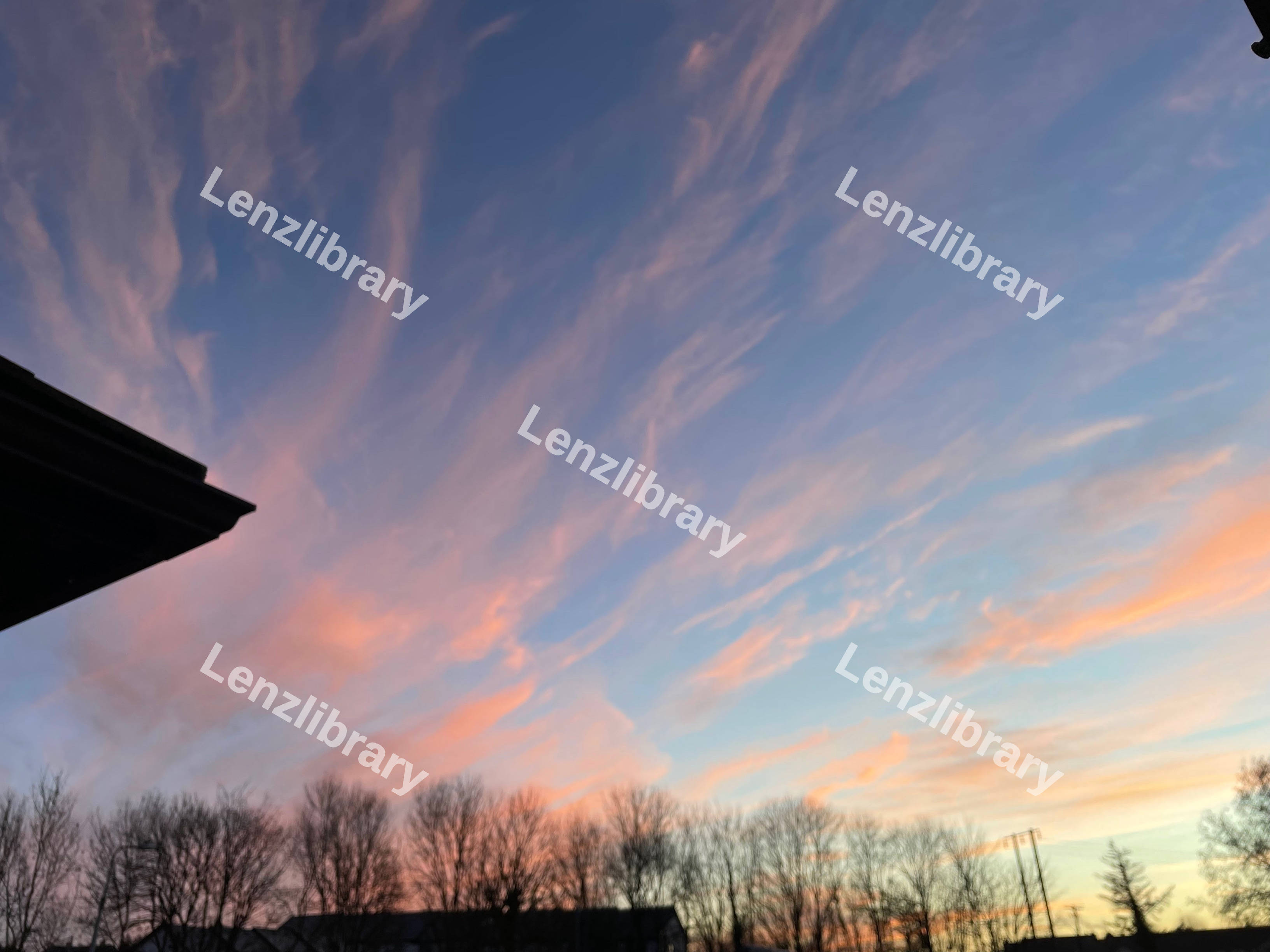 Blue and Red Sky